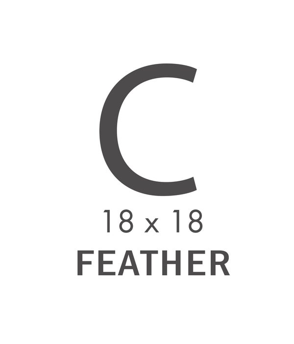 C CATEGORY 18X18 PILLOW (Feather)