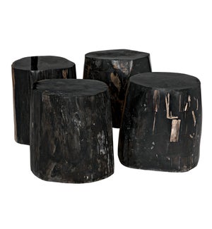Full Polished Fossil Stool