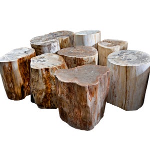 Full Polished Fossil Stool