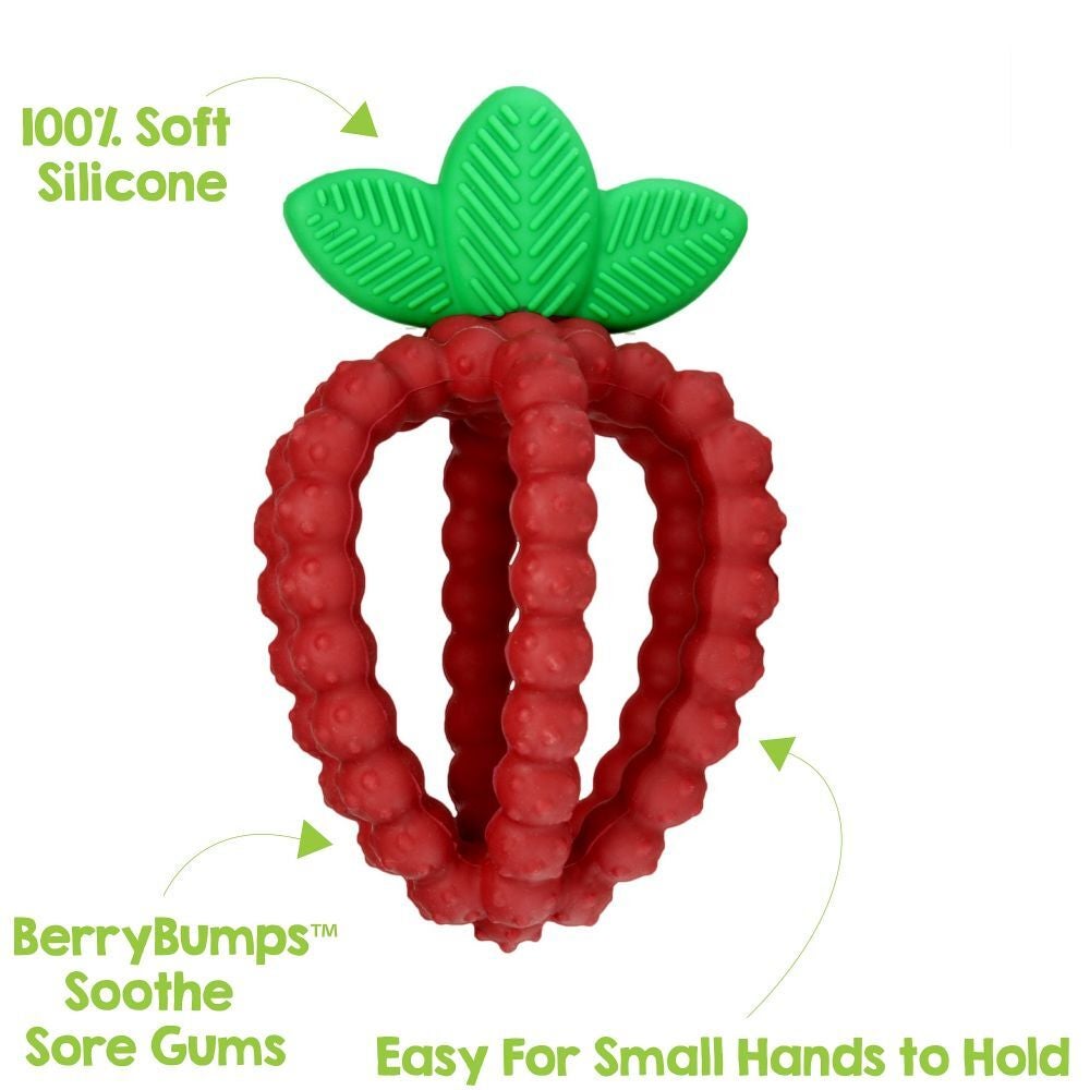 3 Count Red and Green raspberry RaZbaby RaZzies Teether 