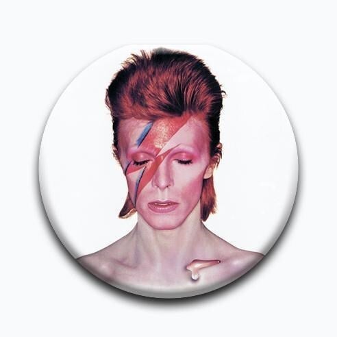 ONE Inch Buttons 1" Pinback Pins Ziggy Stardust Labyrinth 12 DAVID BOWIE 