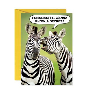 Zebra Secrets