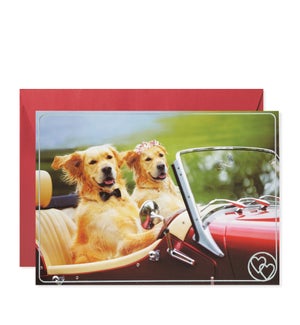 2 Dogs Driving Convertible