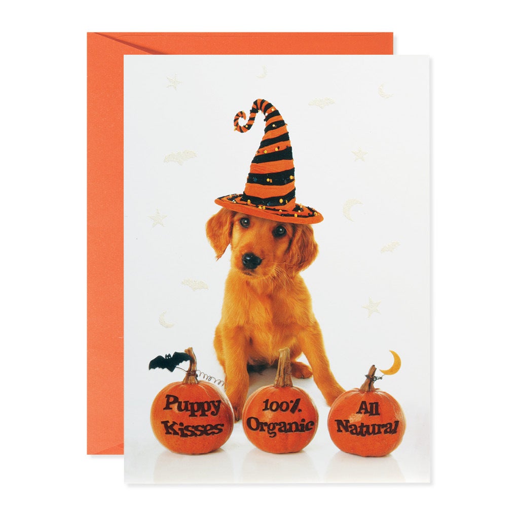 GREETING CARDS - FALL | Design Design
