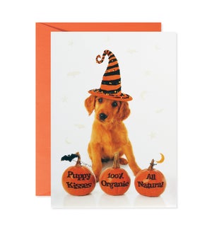 Dog in Witch Hat Greeting Card