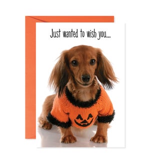 Puppy in Pumpkin Sweater Greeting Card