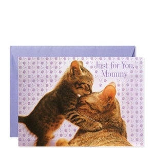 Cat and Kitten Hug Greeting Card