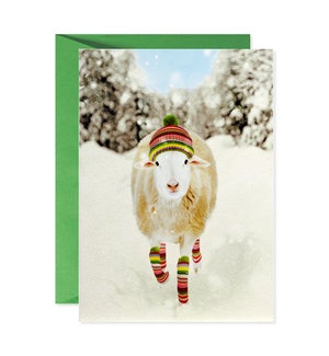 Sheep in Leg Warmers and Hat Greeting Card