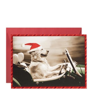 Santa Dog Driving Convertible Greeting Card