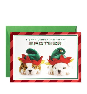 Two Puppies in Elf Hats Greeting Card