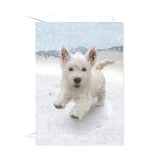 Playful Winter Pup Greeting Card