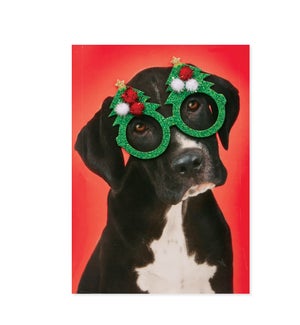 Christmas Glasses Dog Greeting Card