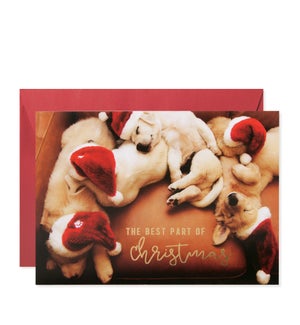 Snuggle Up Puppies Greeting Card