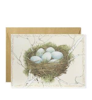 Robin Eggs in Nest Greeting Card