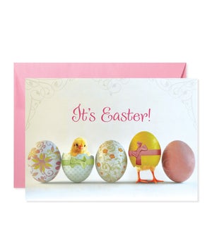 Eggs with Chicks Greeting Card