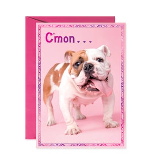 Bulldog with Tongue Hanging Out Greeting Card