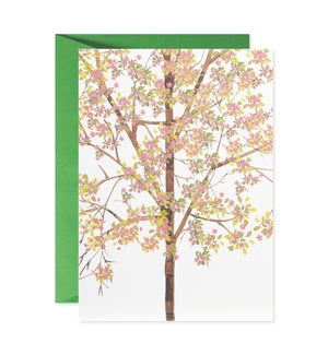 Pink Flowers on Trees Greeting Card