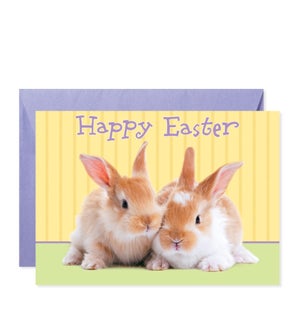 Two Baby Brown Rabbits Greeting Card