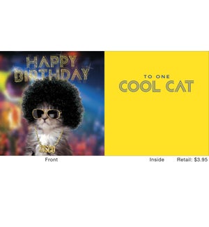 Disco Cat with Fro