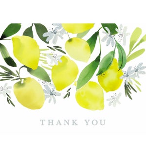 Lemon Blossom Thank You Cards