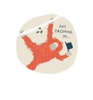 Orangutan Drop In Thank You Boxed Note Cards