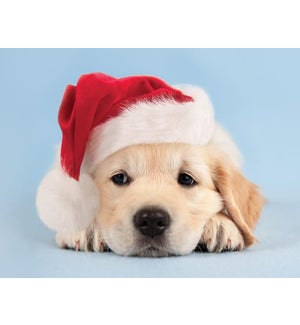 Sweet Santa Puppy Petite Boxed Greeting Cards