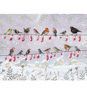 Bird Stockings in a Row Petite Boxed Greeting Cards