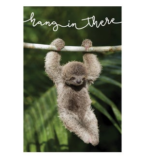Hang in There Sloth Magnet