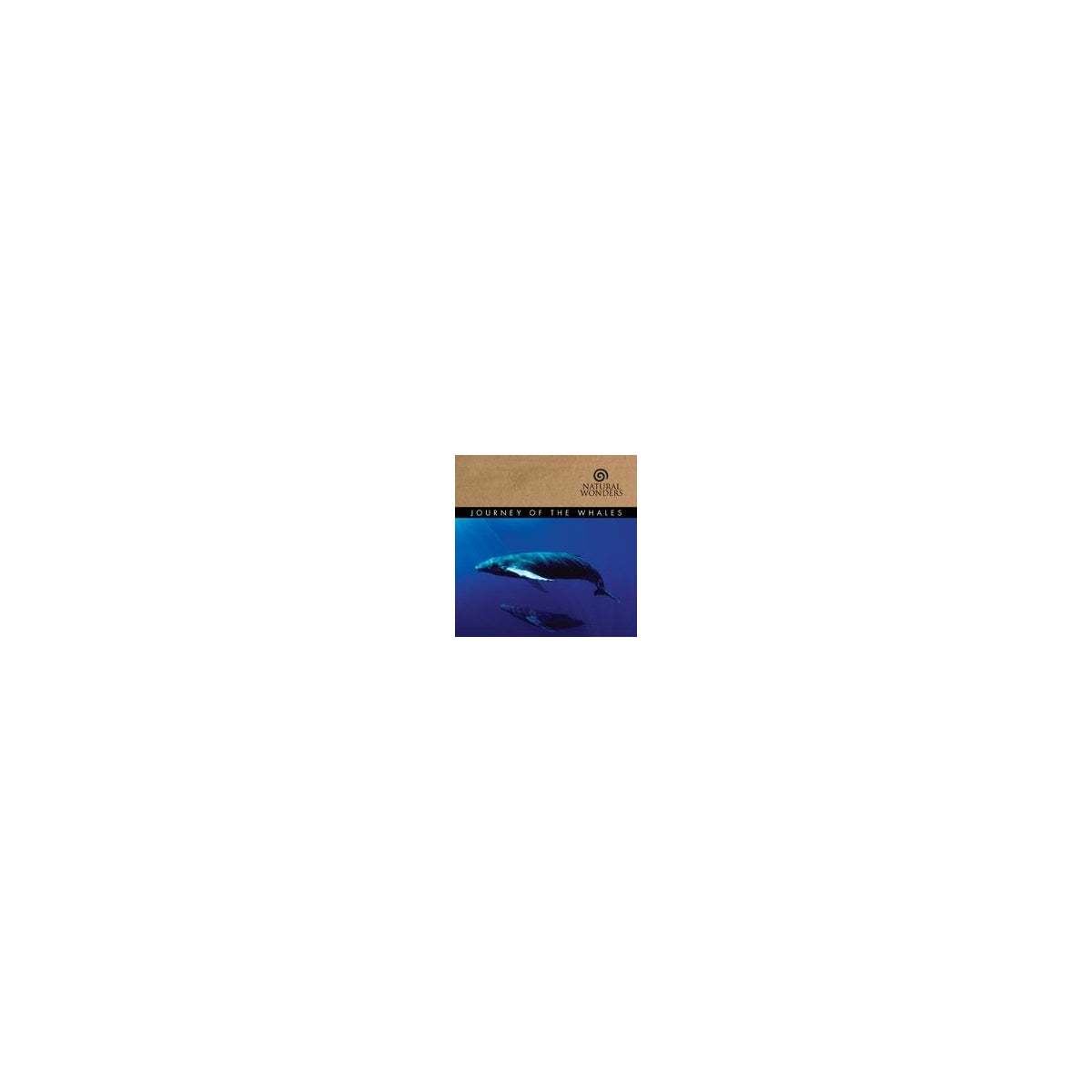 JOURNEY OF THE WHALES