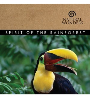 SPIRIT OF THE RAIN FOREST