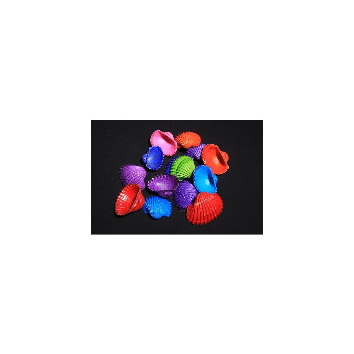 DYED ARK 2-2 1/2"