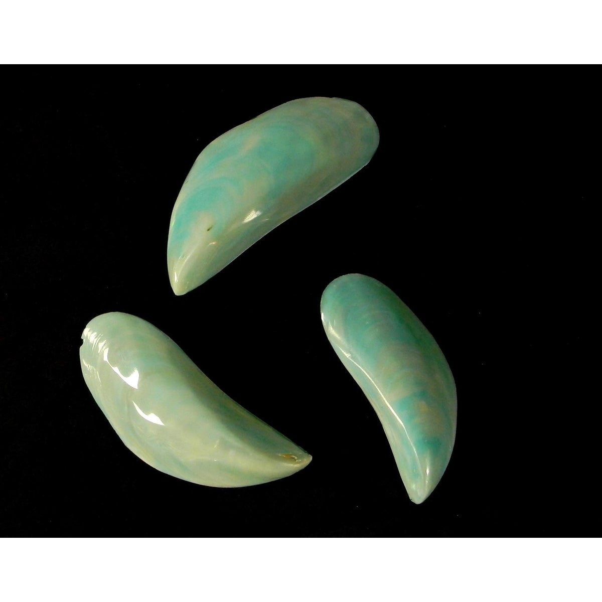 BANANA MUSSEL BLUE