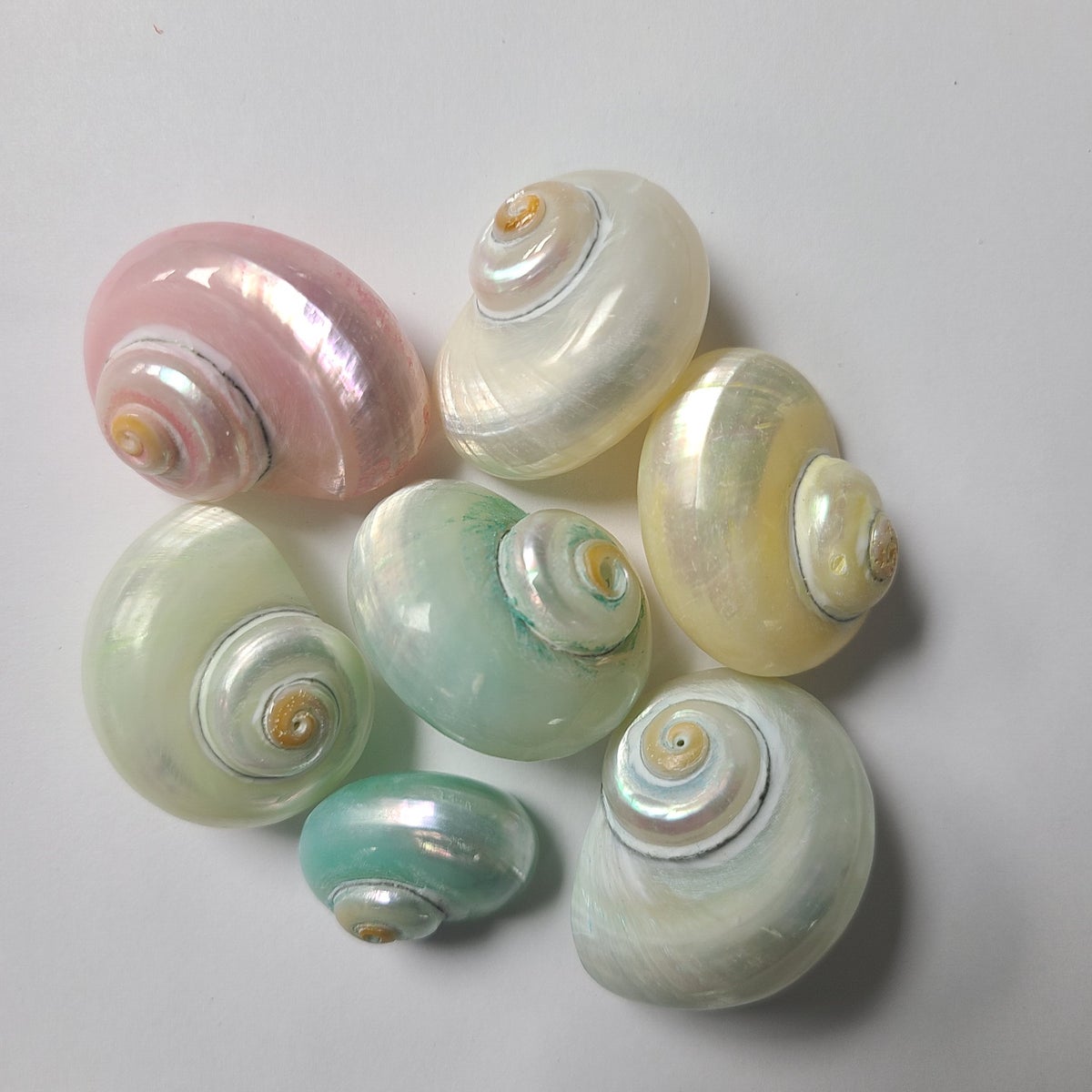 CINEROUS TURBO PASTEL