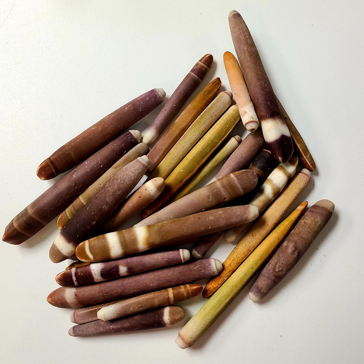 URCHIN SPINES