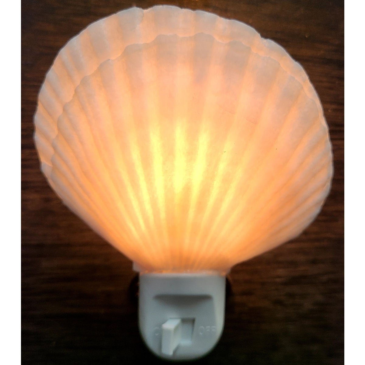 ENGLISH WH. SCALLOP