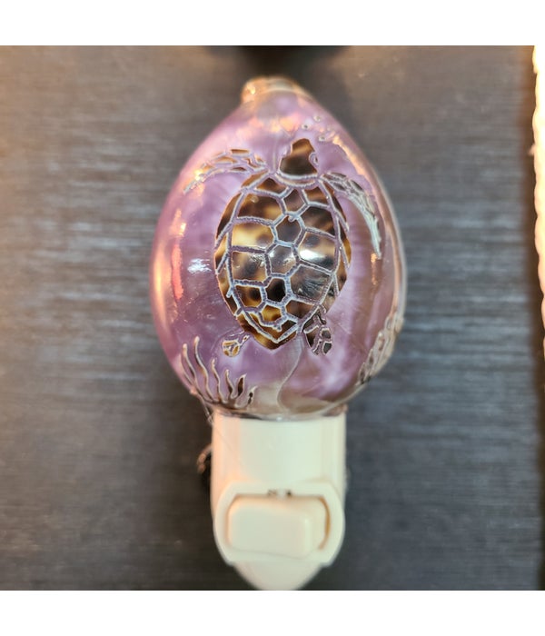 TURTLE CARVED COWRIE