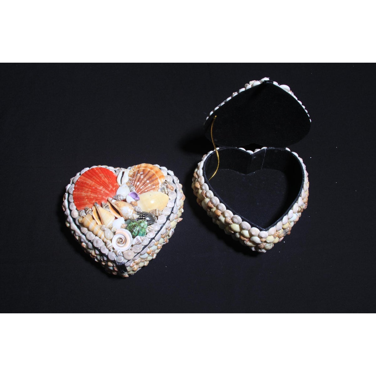 HEART SHELL BOX 5.5"