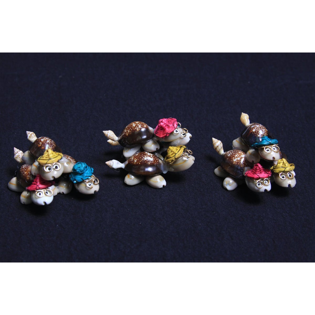 TRIO COWRIE TURTLE 1.5"