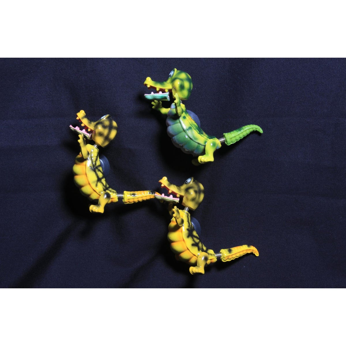 GATOR SPRING MAGNET