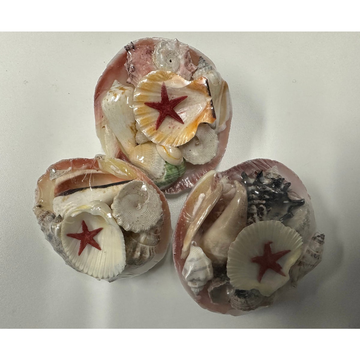 TIGER CLAM SHELL PACK