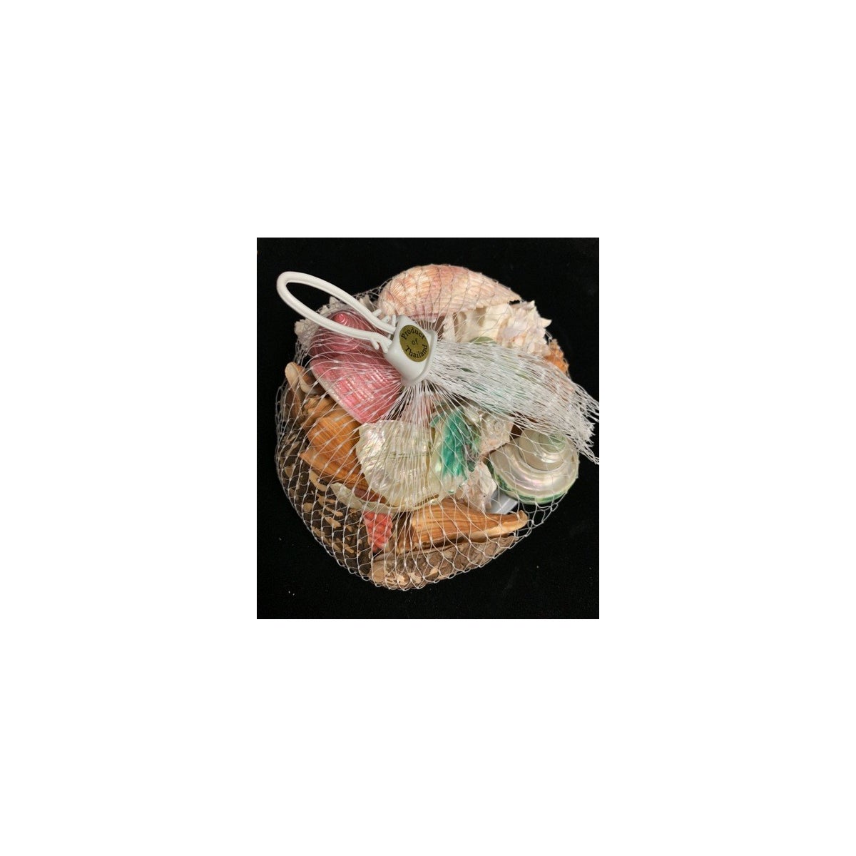 SHELL PACK WHITE NET