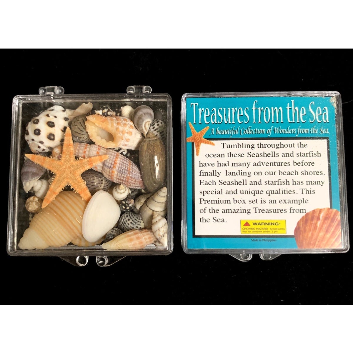 48 PC SHELLS IN DISPLAY BOX