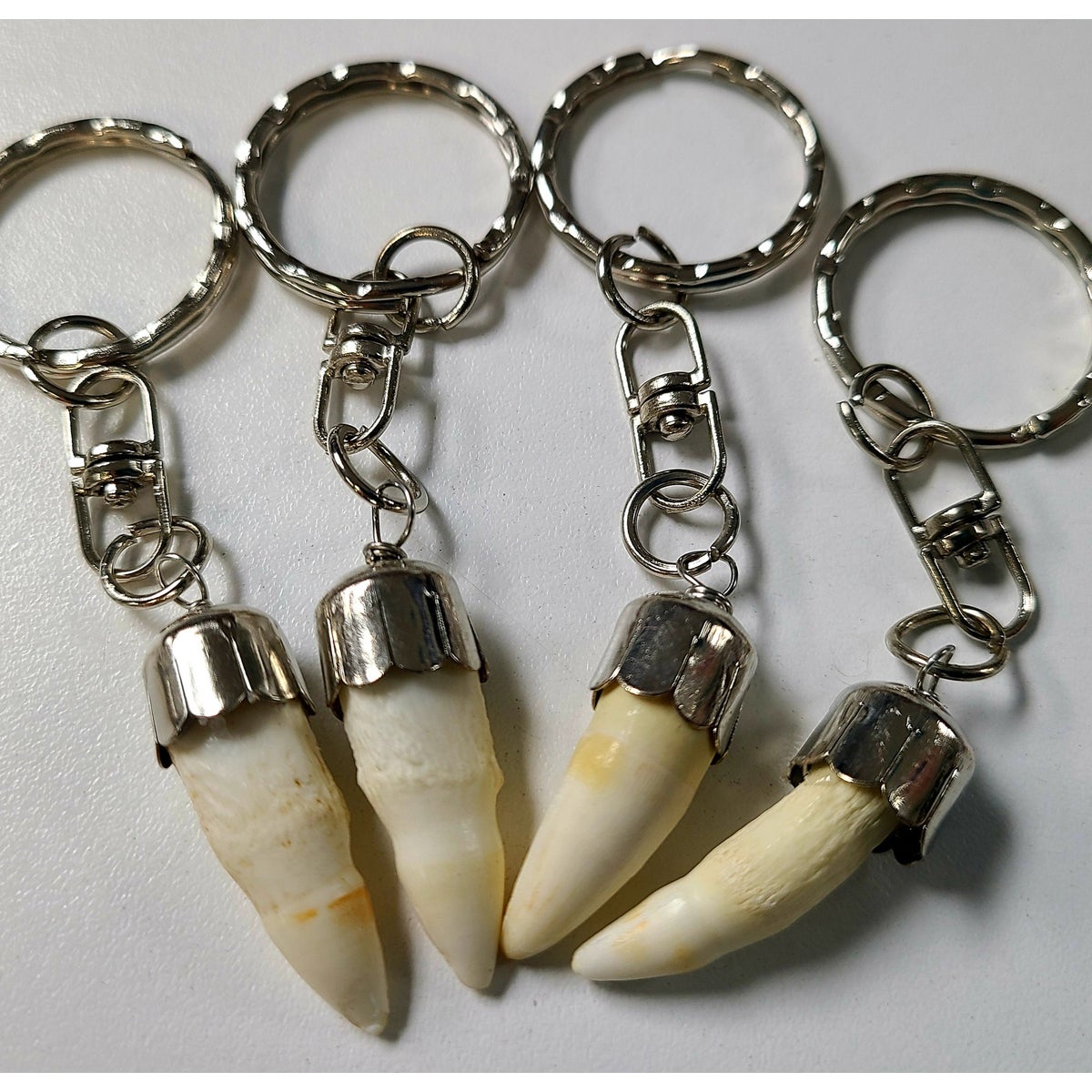 GATOR TOOTH KEY CHAIN