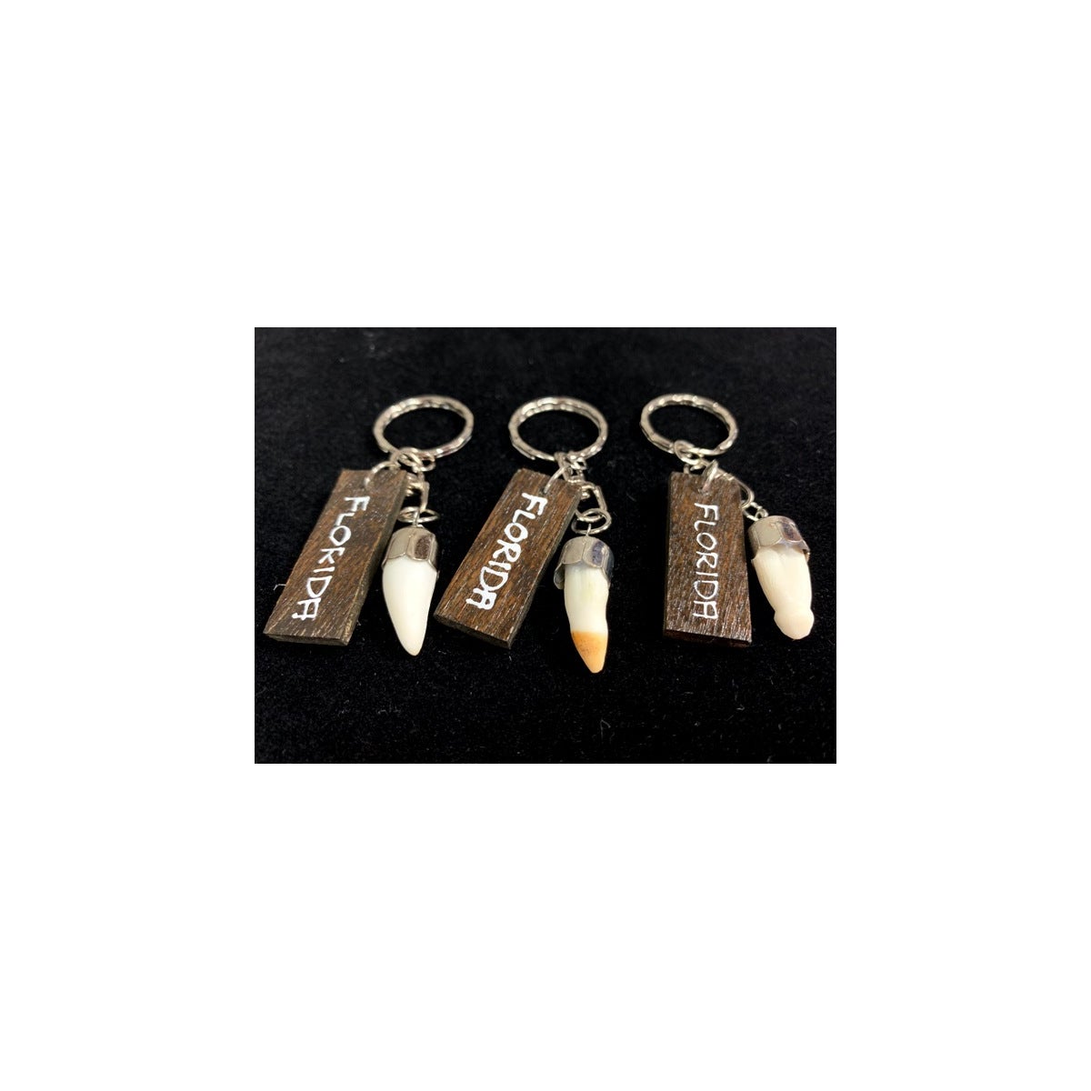 GATOR TOOTH KEYCHAIN FL