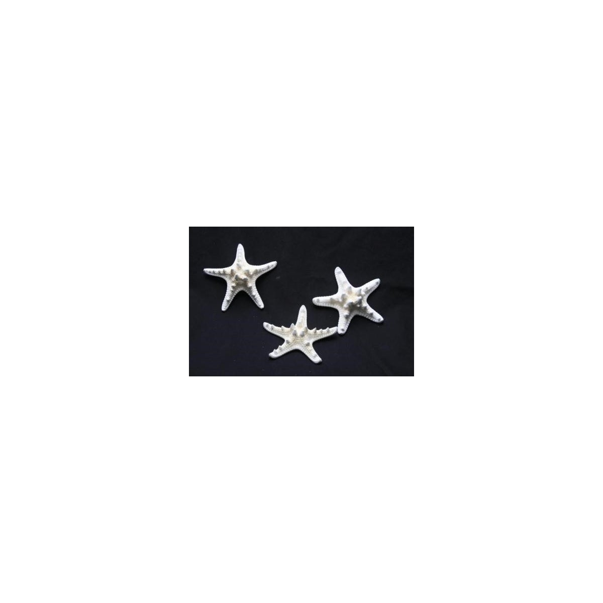 1-2" KNOBBY STAR