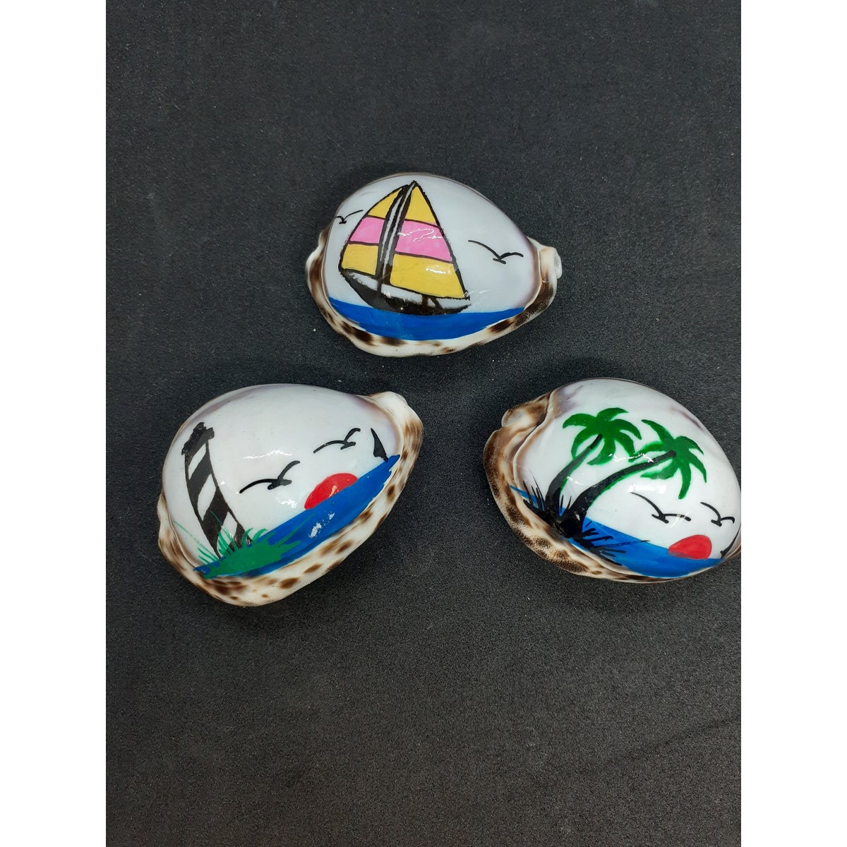 COWRIE MAGNET SEALIFE PAINTED