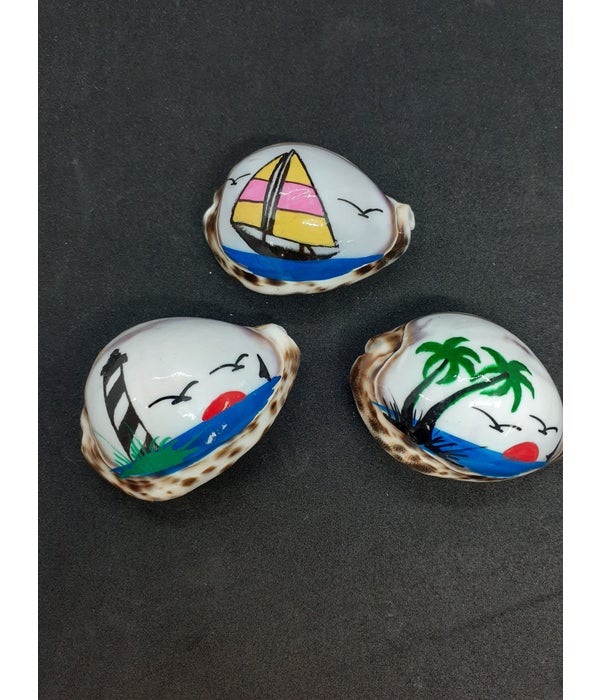 COWRIE MAGNET SEALIFE PAINTED