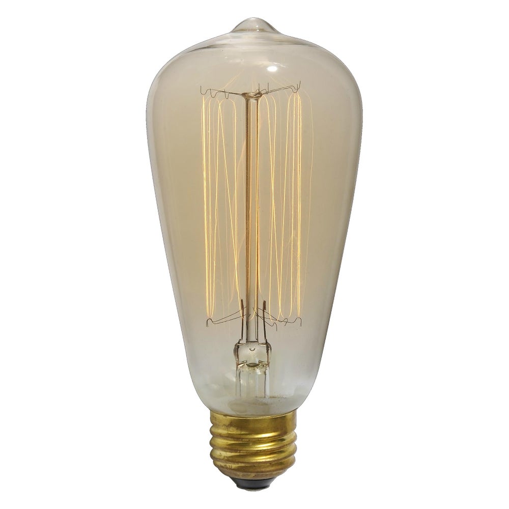 Lg Edison Bulb