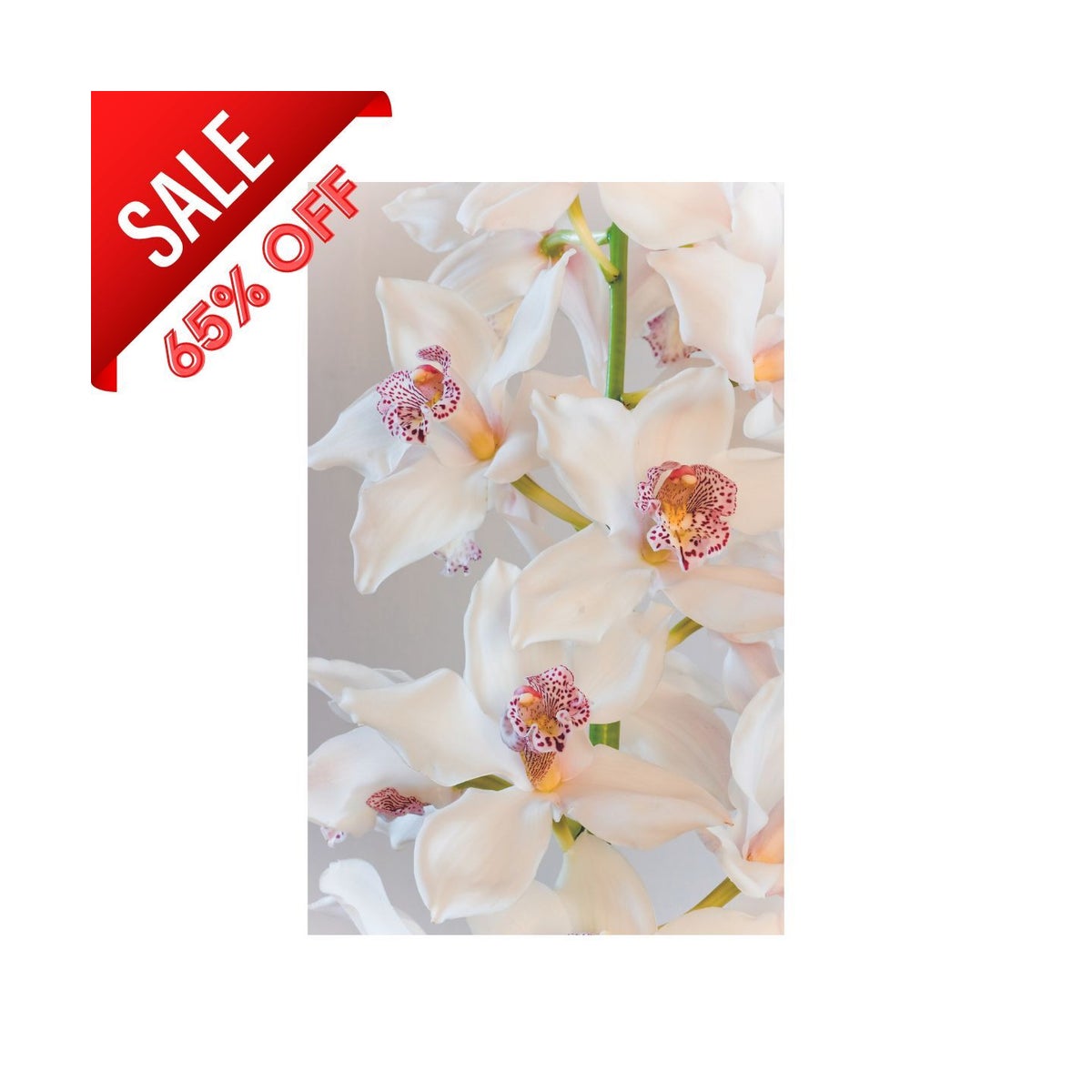 44679769 30" ACRYLIC