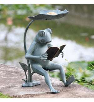 Reading Frog Birdfeeder with LED Light